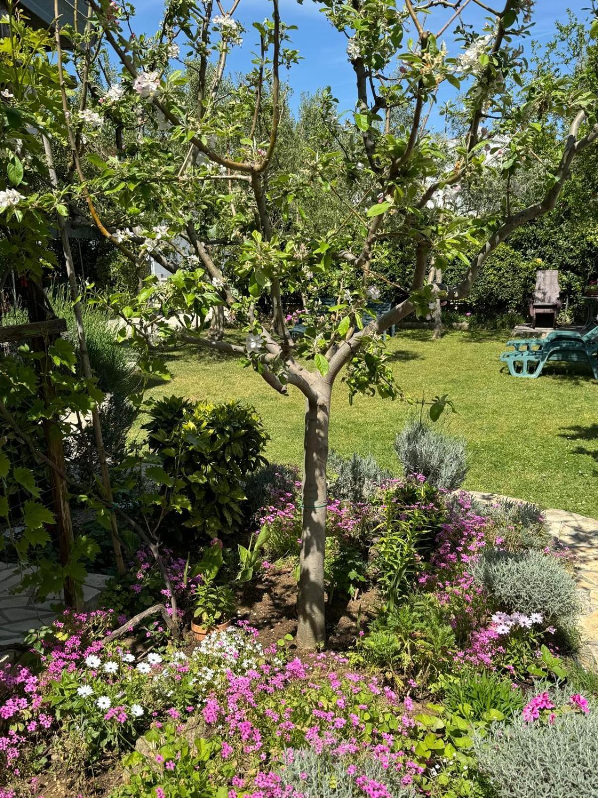 Holiday House K&K Privlaka  Esterno foto